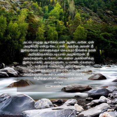 Picture 05 - 2 இராஜாக்கள் 8:12 TAMIRV - அப்பொழுது ஆசகேல்: - Bible Verse Picture