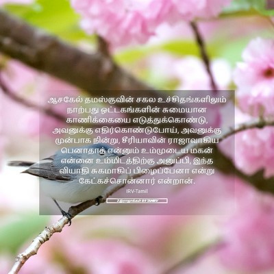 Picture 05 - 2 இராஜாக்கள் 8:9 TAMIRV - ஆசகேல் தமஸ்குவின் - Bible Verse Picture