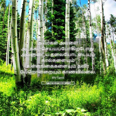 Picture 05 - 2 இராஜாக்கள் 9:35 TAMIRV - அவர்கள் அவளை - Bible Verse Picture