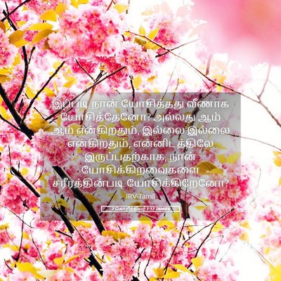 Picture 05 - 2 கொரிந்தியர் 1:17 TAMIRV - இப்படி நான் - Bible Verse Picture