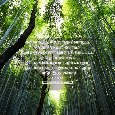Picture 05 - 2 கொரிந்தியர் 1:19 TAMIRV - என்னாலும், - Bible Verse Picture