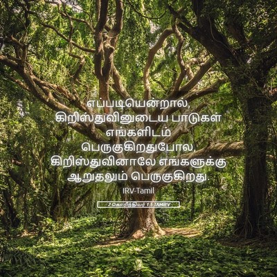 Picture 05 - 2 கொரிந்தியர் 1:5 TAMIRV - எப்படியென்றால், - Bible Verse Picture