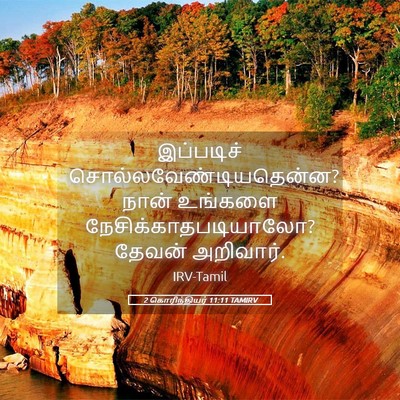 Picture 05 - 2 கொரிந்தியர் 11:11 TAMIRV - இப்படிச் - Bible Verse Picture