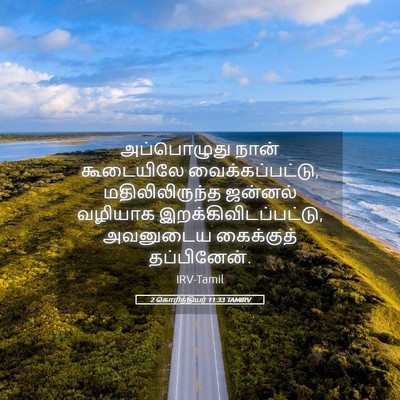 Picture 05 - 2 கொரிந்தியர் 11:33 TAMIRV - அப்பொழுது நான் - Bible Verse Picture