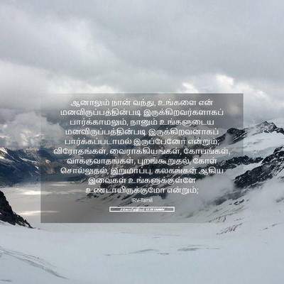Picture 05 - 2 கொரிந்தியர் 12:20 TAMIRV - ஆனாலும் நான் - Bible Verse Picture