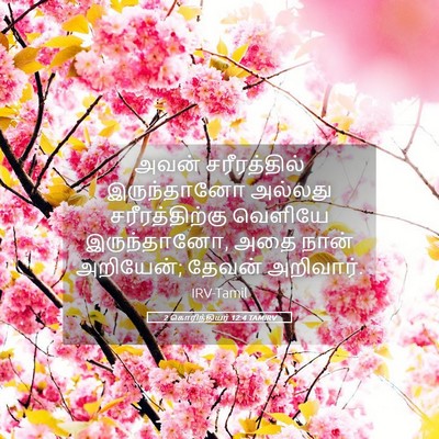 Picture 05 - 2 கொரிந்தியர் 12:4 TAMIRV - அவன் சரீரத்தில் - Bible Verse Picture