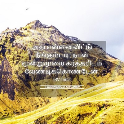 Picture 05 - 2 கொரிந்தியர் 12:8 TAMIRV - அது என்னைவிட்டு - Bible Verse Picture