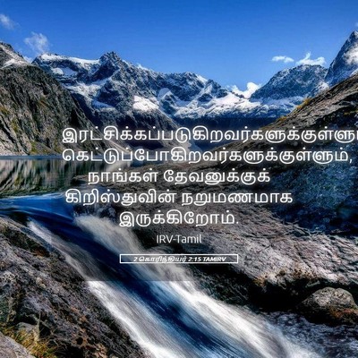 Picture 05 - 2 கொரிந்தியர் 2:15 TAMIRV -  - Bible Verse Picture
