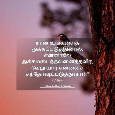 Picture 05 - 2 கொரிந்தியர் 2:2 TAMIRV - நான் உங்களைத் - Bible Verse Picture