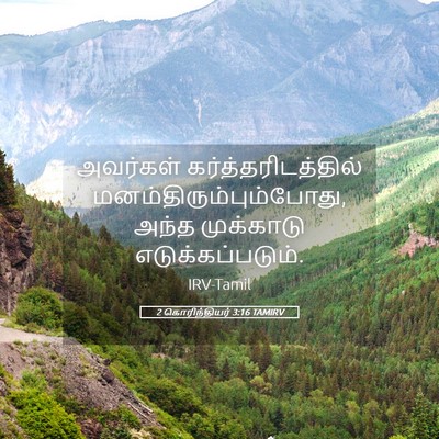 Picture 05 - 2 கொரிந்தியர் 3:16 TAMIRV - அவர்கள் - Bible Verse Picture
