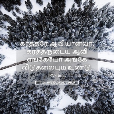 Picture 05 - 2 கொரிந்தியர் 3:17 TAMIRV - கர்த்தரே - Bible Verse Picture