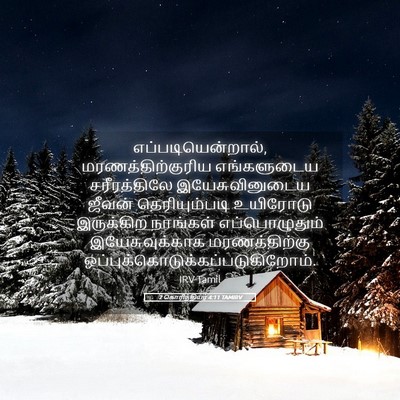 Picture 05 - 2 கொரிந்தியர் 4:11 TAMIRV - எப்படியென்றால், - Bible Verse Picture