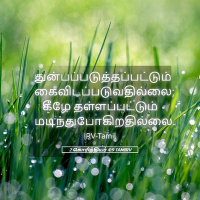 Picture 05 - 2 கொரிந்தியர் 4:9 TAMIRV -  - Bible Verse Picture