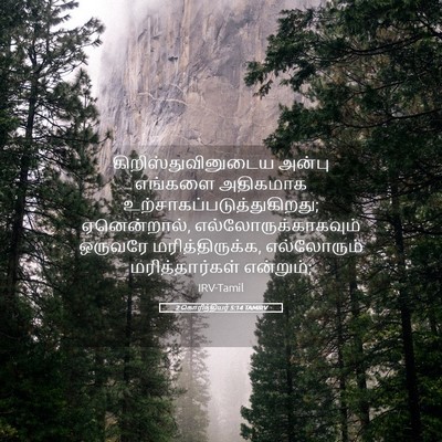 Picture 05 - 2 கொரிந்தியர் 5:14 TAMIRV - கிறிஸ்துவினுடைய - Bible Verse Picture