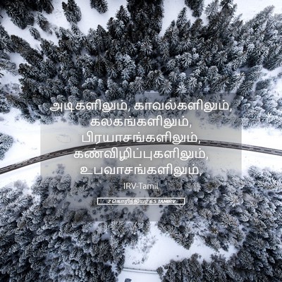 Picture 05 - 2 கொரிந்தியர் 6:5 TAMIRV - அடிகளிலும், - Bible Verse Picture