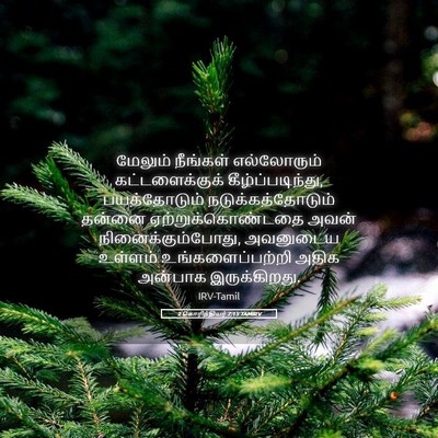 Picture 05 - 2 கொரிந்தியர் 7:15 TAMIRV - மேலும் நீங்கள் - Bible Verse Picture