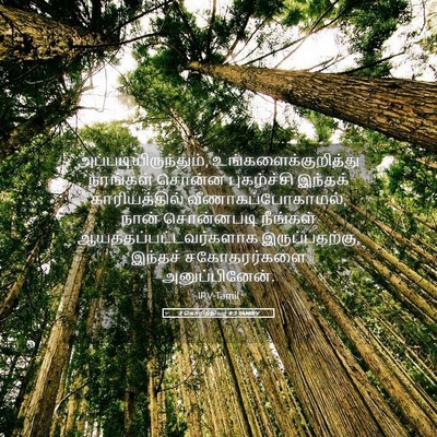 Picture 05 - 2 கொரிந்தியர் 9:3 TAMIRV - அப்படியிருந்தும், - Bible Verse Picture