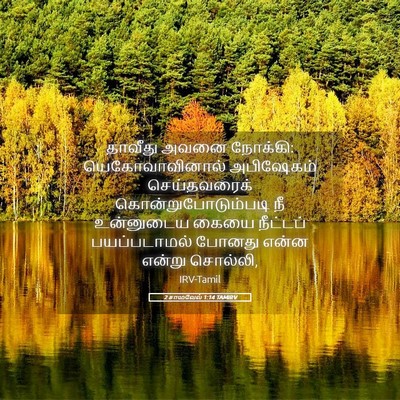 Picture 05 - 2 சாமுவேல் 1:14 TAMIRV - தாவீது அவனை - Bible Verse Picture