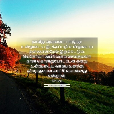 Picture 05 - 2 சாமுவேல் 1:16 TAMIRV - தாவீது அவனைப் - Bible Verse Picture