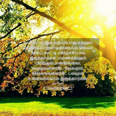 Picture 05 - 2 சாமுவேல் 1:23 TAMIRV - உயிரோடு - Bible Verse Picture