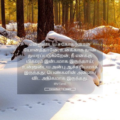 Picture 05 - 2 சாமுவேல் 1:26 TAMIRV - என்னுடைய சகோதரனான - Bible Verse Picture