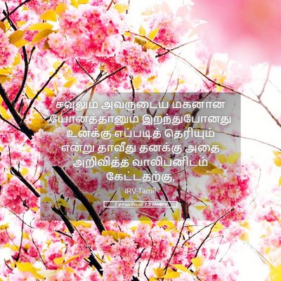 Picture 05 - 2 சாமுவேல் 1:5 TAMIRV - சவுலும் அவருடைய - Bible Verse Picture