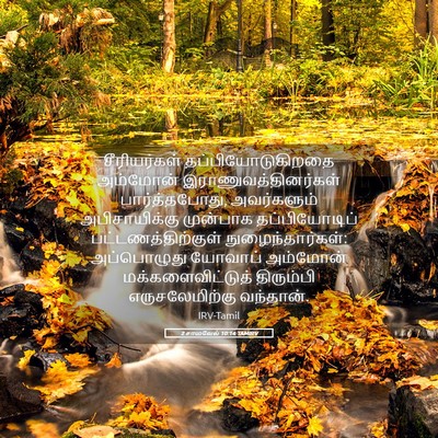 Picture 05 - 2 சாமுவேல் 10:14 TAMIRV - சீரியர்கள் - Bible Verse Picture