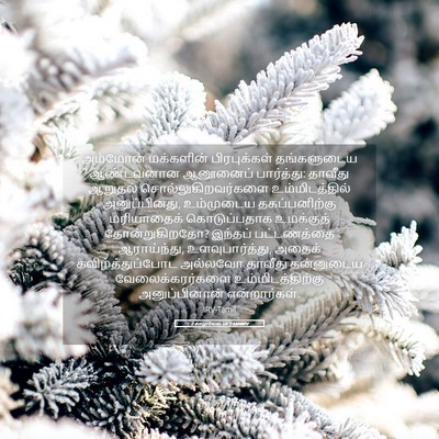 Picture 05 - 2 சாமுவேல் 10:3 TAMIRV - அம்மோன் மக்களின் - Bible Verse Picture