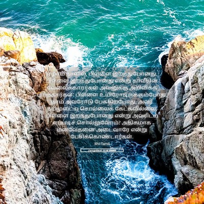 Picture 05 - 2 சாமுவேல் 12:18 TAMIRV - ஏழாம் நாளில், - Bible Verse Picture