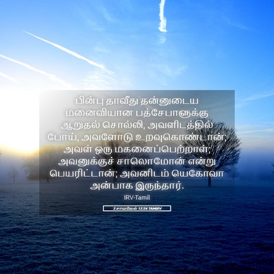 Picture 05 - 2 சாமுவேல் 12:24 TAMIRV - பின்பு தாவீது - Bible Verse Picture