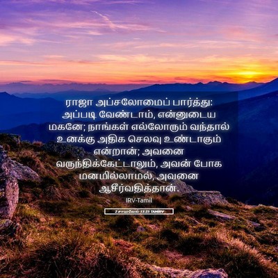 Picture 05 - 2 சாமுவேல் 13:25 TAMIRV - ராஜா அப்சலோமைப் - Bible Verse Picture