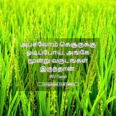 Picture 05 - 2 சாமுவேல் 13:38 TAMIRV - அப்சலோம் - Bible Verse Picture
