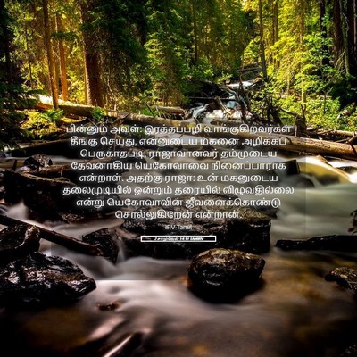 Picture 05 - 2 சாமுவேல் 14:11 TAMIRV - பின்னும் அவள்: - Bible Verse Picture