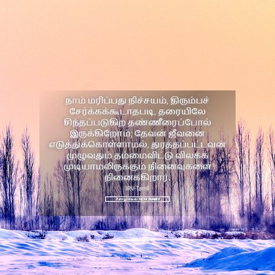 Picture 05 - 2 சாமுவேல் 14:14 TAMIRV - நாம் மரிப்பது - Bible Verse Picture