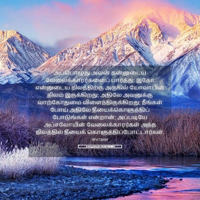 Picture 05 - 2 சாமுவேல் 14:30 TAMIRV - அப்பொழுது அவன் - Bible Verse Picture