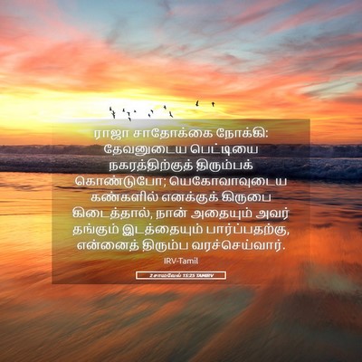 Picture 05 - 2 சாமுவேல் 15:25 TAMIRV - ராஜா சாதோக்கை - Bible Verse Picture