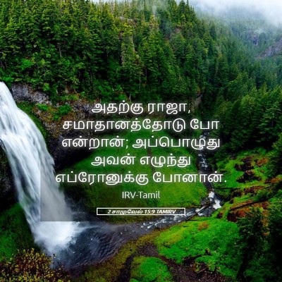 Picture 05 - 2 சாமுவேல் 15:9 TAMIRV - அதற்கு ராஜா, - Bible Verse Picture