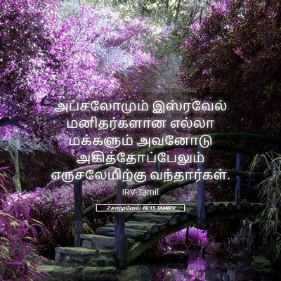 Picture 05 - 2 சாமுவேல் 16:15 TAMIRV - அப்சலோமும் - Bible Verse Picture