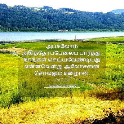 Picture 05 - 2 சாமுவேல் 16:20 TAMIRV - அப்சலோம் - Bible Verse Picture