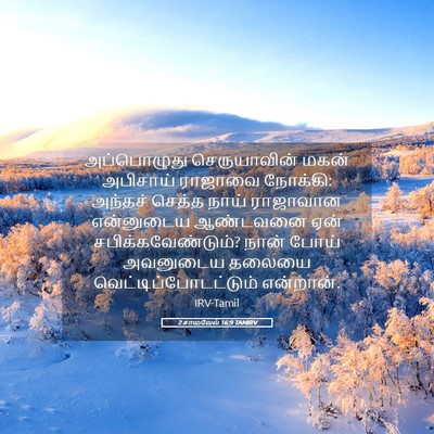 Picture 05 - 2 சாமுவேல் 16:9 TAMIRV - அப்பொழுது - Bible Verse Picture