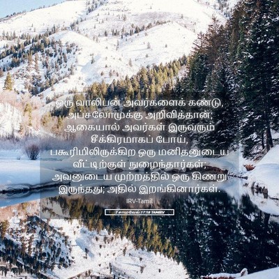Picture 05 - 2 சாமுவேல் 17:18 TAMIRV - ஒரு வாலிபன் - Bible Verse Picture
