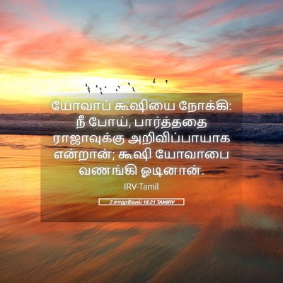 Picture 05 - 2 சாமுவேல் 18:21 TAMIRV - யோவாப் கூஷியை - Bible Verse Picture