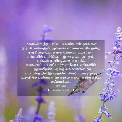 Picture 05 - 2 சாமுவேல் 18:3 TAMIRV - மக்களோ: நீர் - Bible Verse Picture