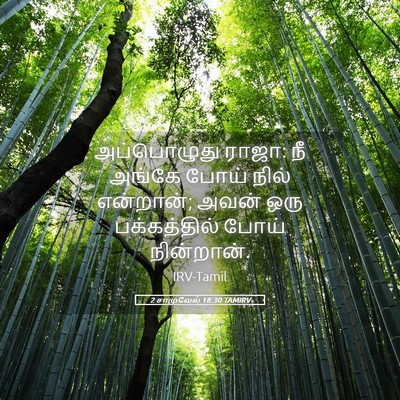 Picture 05 - 2 சாமுவேல் 18:30 TAMIRV - அப்பொழுது ராஜா: நீ - Bible Verse Picture