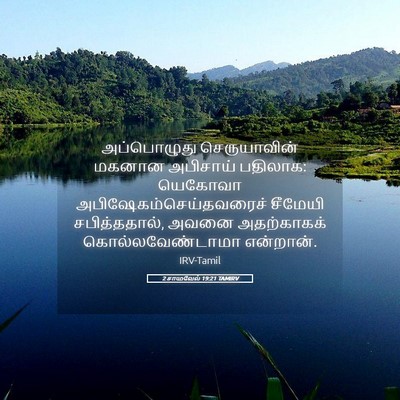 Picture 05 - 2 சாமுவேல் 19:21 TAMIRV - அப்பொழுது - Bible Verse Picture