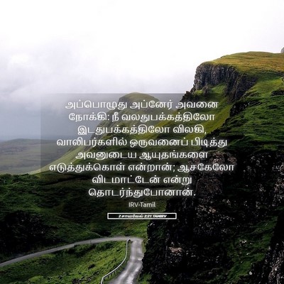Picture 05 - 2 சாமுவேல் 2:21 TAMIRV - அப்பொழுது அப்னேர் - Bible Verse Picture