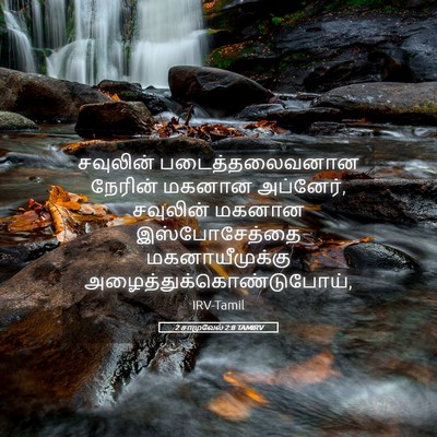 Picture 05 - 2 சாமுவேல் 2:8 TAMIRV - சவுலின் - Bible Verse Picture