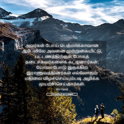 Picture 05 - 2 சாமுவேல் 20:15 TAMIRV - அவர்கள் போய் - Bible Verse Picture