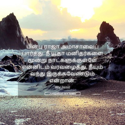Picture 05 - 2 சாமுவேல் 20:4 TAMIRV - பின்பு ராஜா - Bible Verse Picture