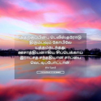 Picture 05 - 2 சாமுவேல் 21:18 TAMIRV - அதற்குப்பின்பு - Bible Verse Picture